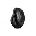 Xtrike Me Gw-301 2.4g Wireless Ergonomic Rechargeable Mouse