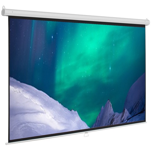 PROJECTOR SCREEN 120 INCH MANUAL 6X8 FEET 4:3MW SPEED-X  (FINE QUALITY)